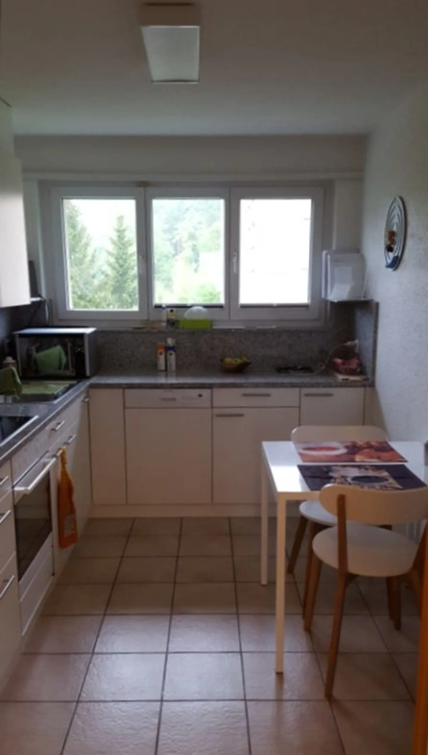 Ampio appartamento di 4 stanze in una posizione tranquilla a Steckborn - Foto 5 di 8