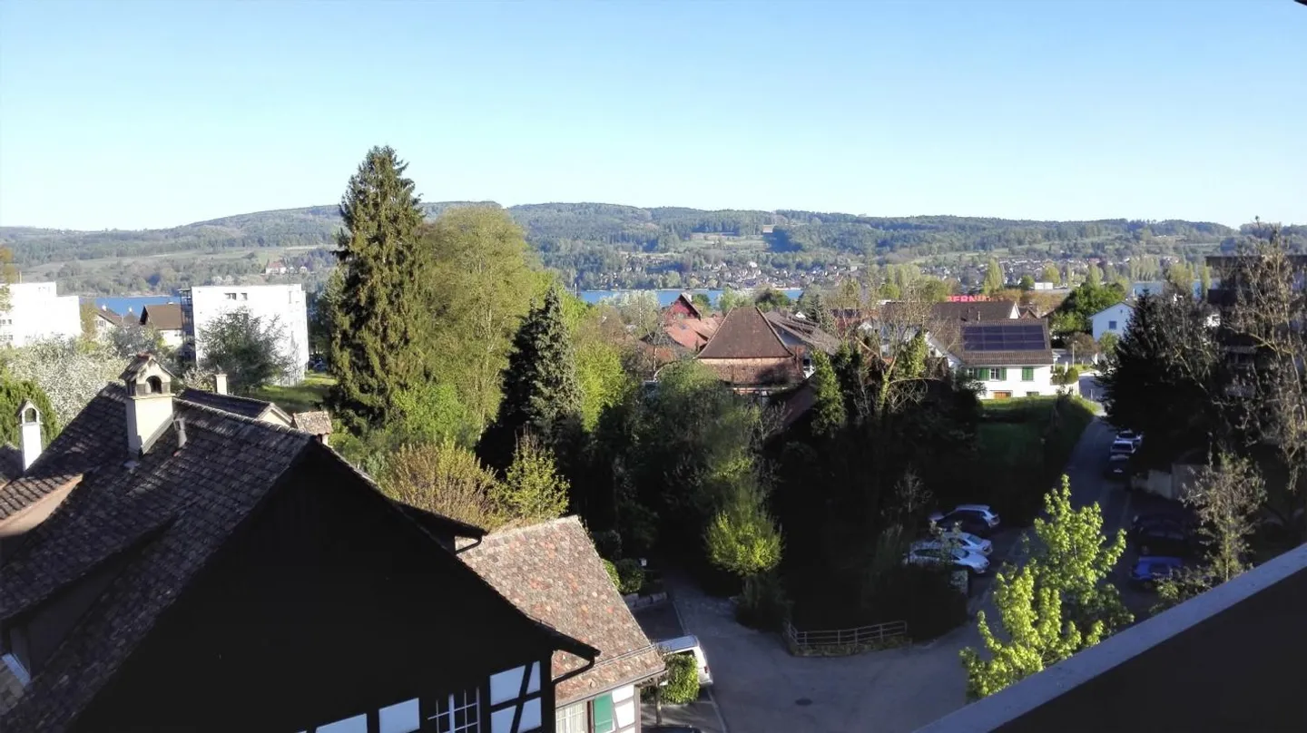 Ampio appartamento di 4 stanze in una posizione tranquilla a Steckborn - Foto 7 di 8