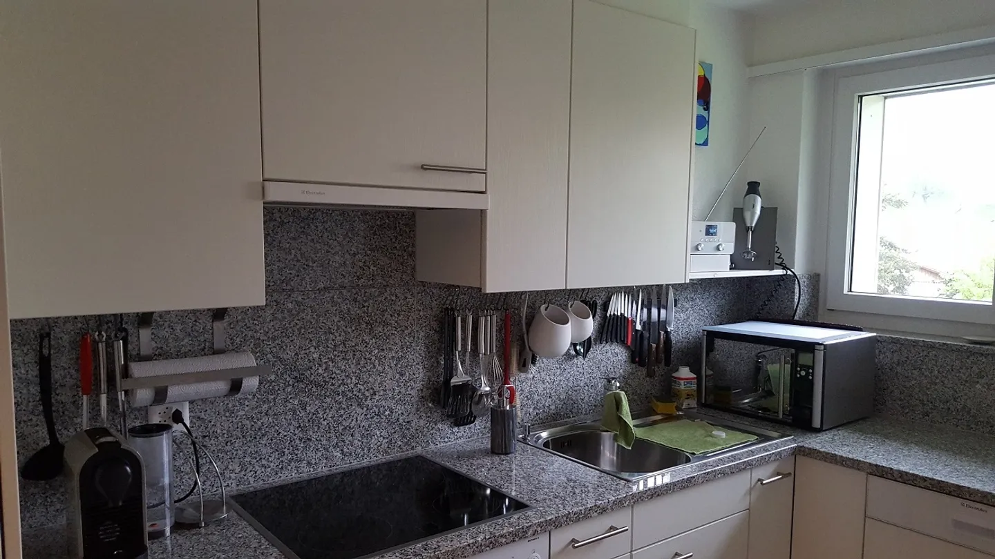 Ampio appartamento di 4 stanze in una posizione tranquilla a Steckborn - Foto 6 di 8