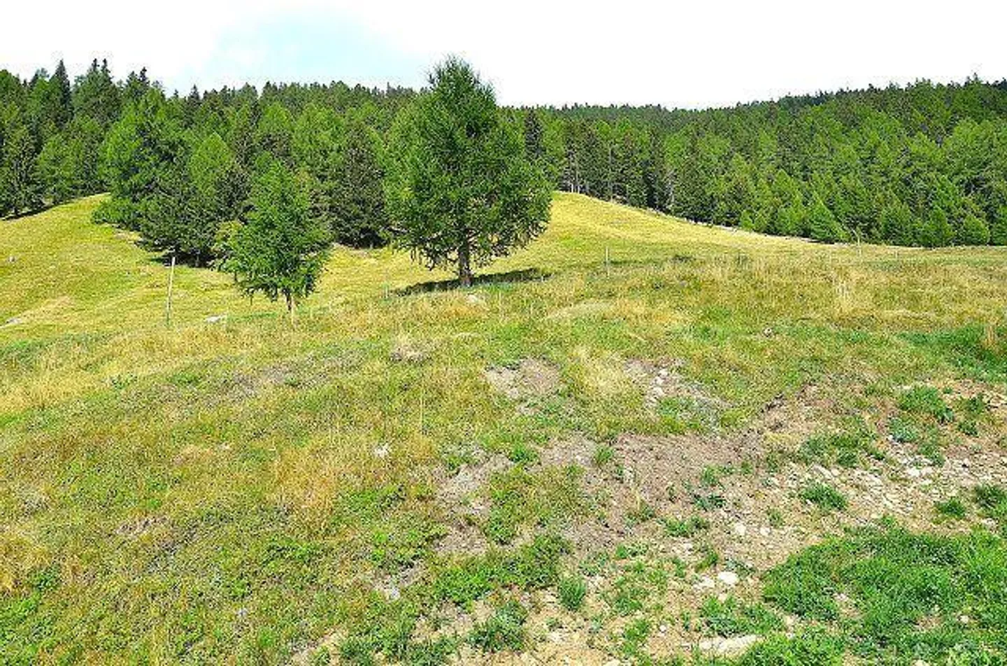 Bel rustico di 3 locali molto soleggiata, tranquilla, bella vista - Foto 21 di 28