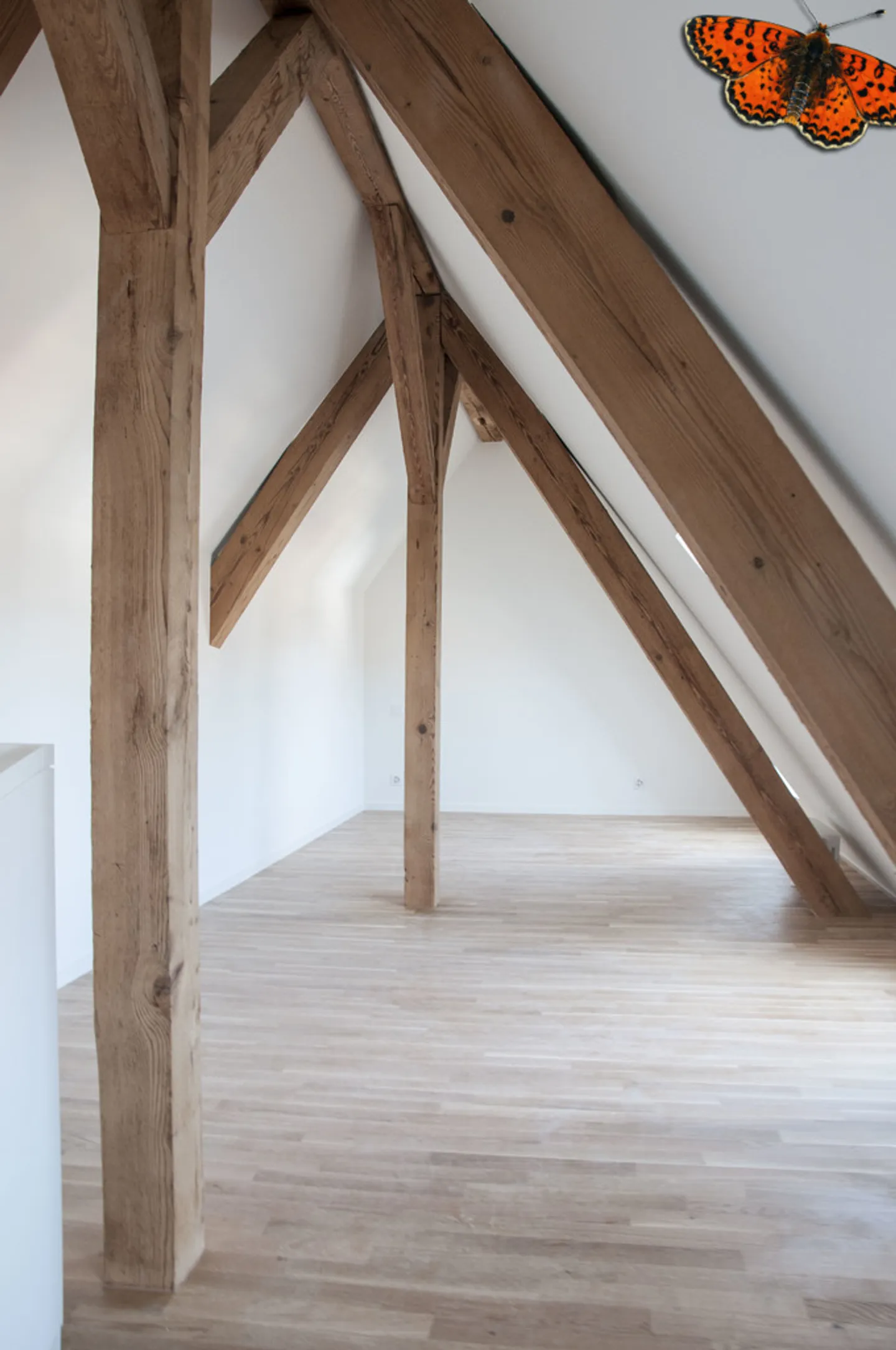 MAGNIFIQUE LOFT - LE PLAISIR DE VIVRE AU CENTRE VILLE - Foto 4 von 9