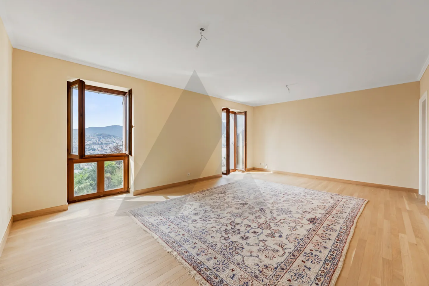 Charming Apartment with Lake View - Photo 8 of 19