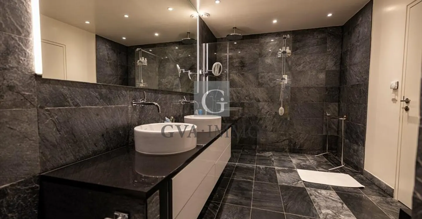 Luxury Apartment with Lake View - Photo 4 of 6