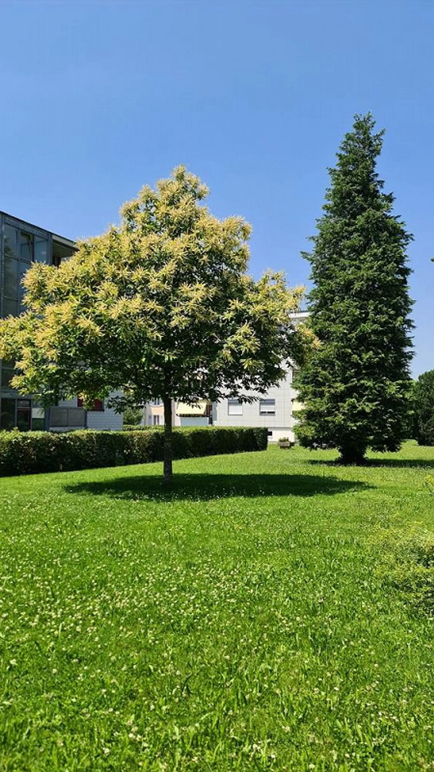 Appartamento accogliente con 4 stanze in affitto vicino a Grün 80 - Foto 3 di 8