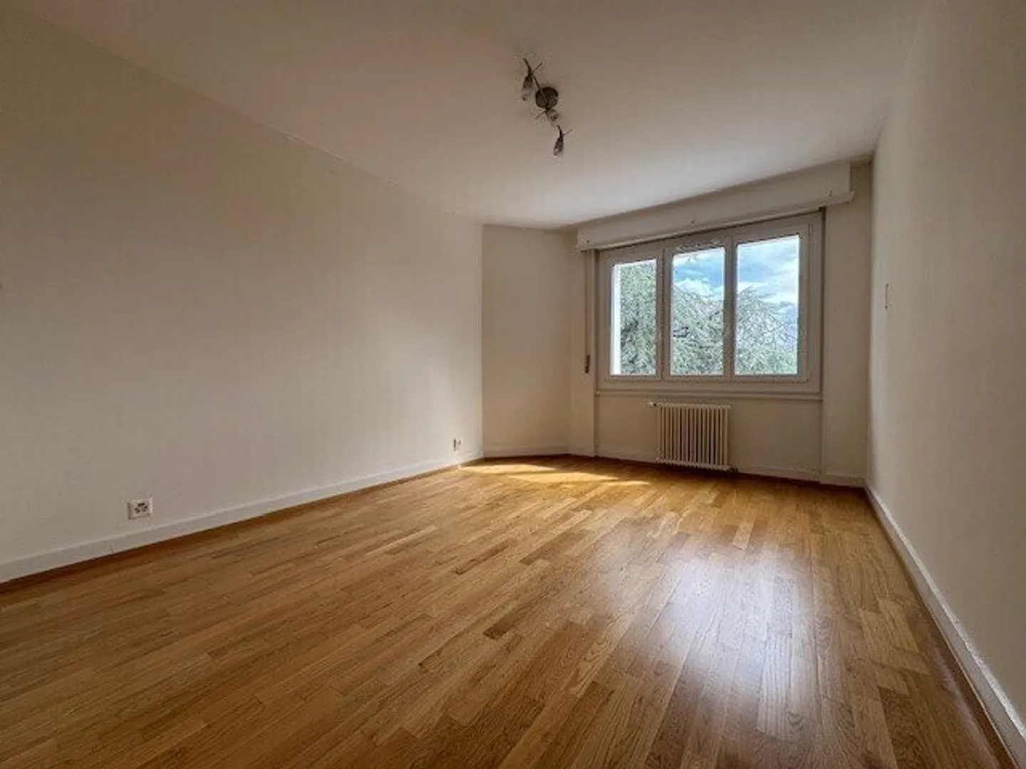 «Da afferrare! Splendida sistemazione in un quartiere verde!» - Foto 5 di 8