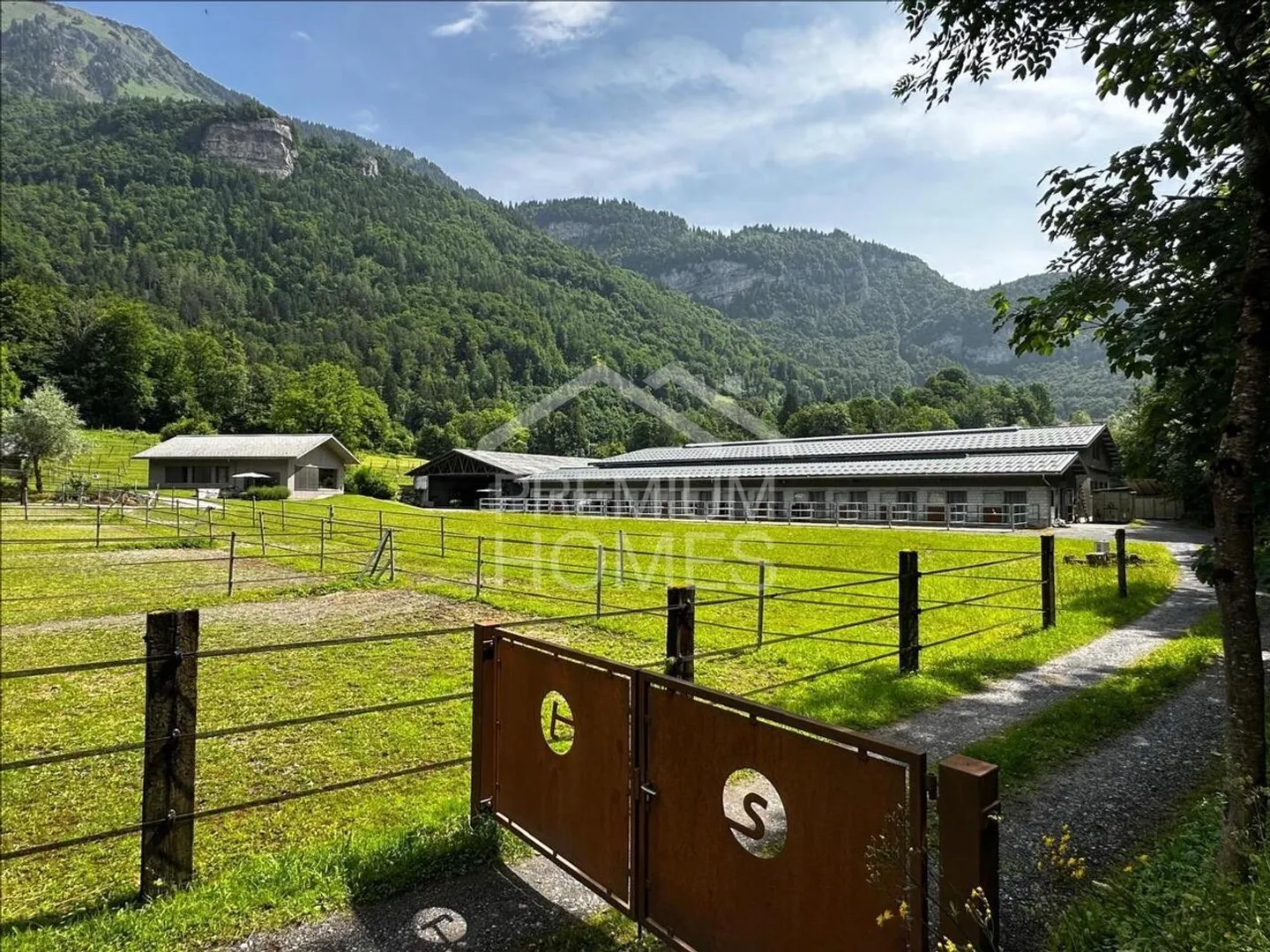 «Ein Zuhause für Mensch und Tiere in Brienzwiler» - Foto 1 von 8