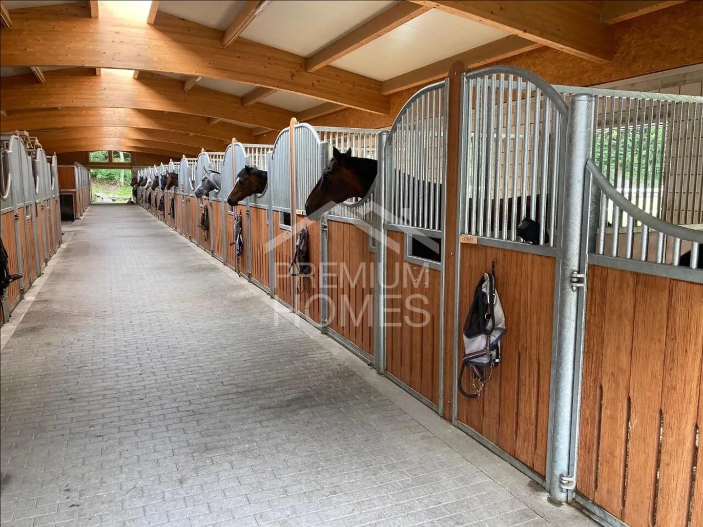 «Ein Zuhause für Mensch und Tiere in Brienzwiler» - Foto 5 von 8