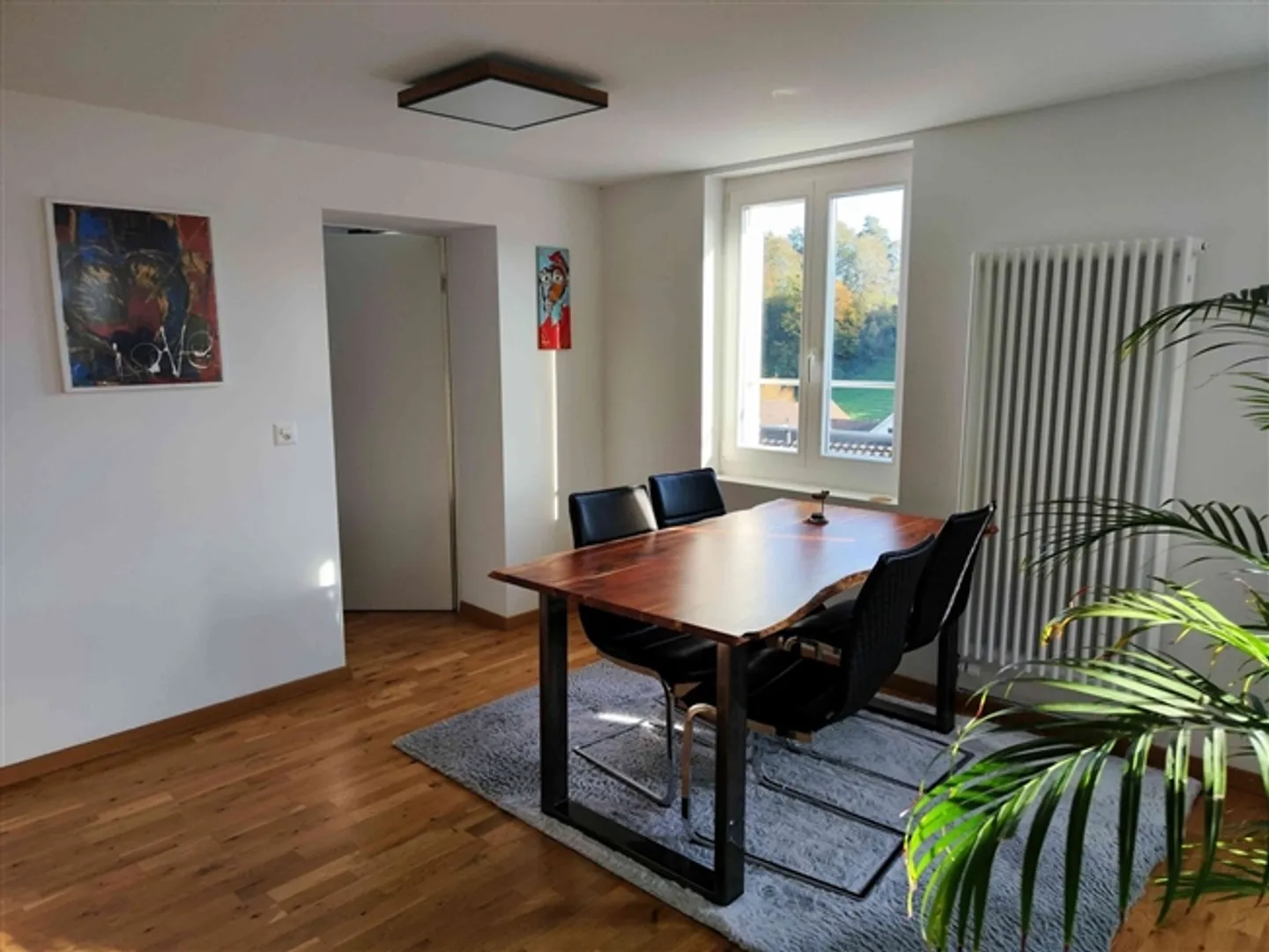 POUR UNE PERSONNE SEULE À ALTSTÄTTEN (SG), MEUBLÉ, TEMPORAIRE - Photo 2 sur 10