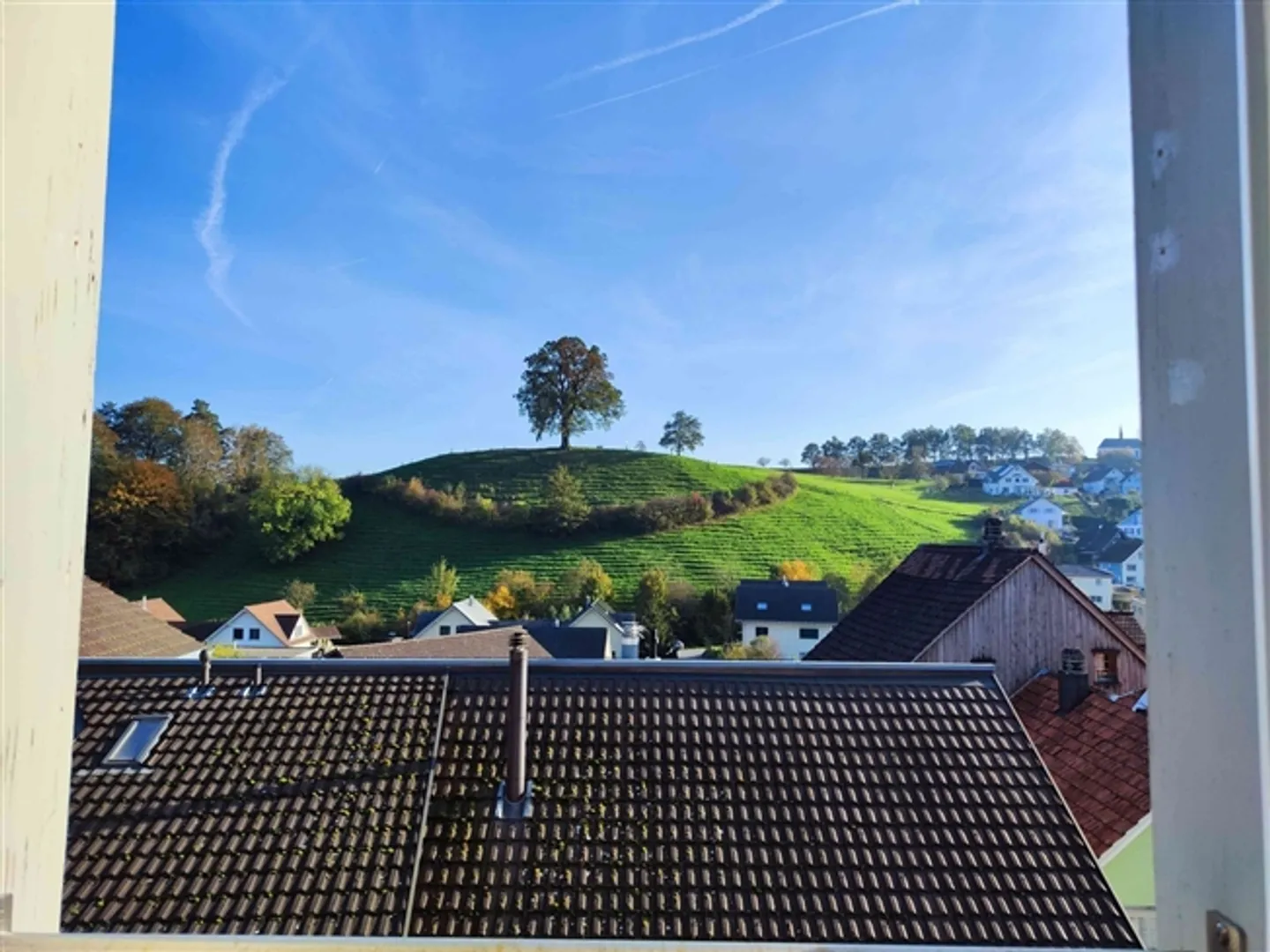 POUR UNE PERSONNE SEULE À ALTSTÄTTEN (SG), MEUBLÉ, TEMPORAIRE - Photo 9 sur 10