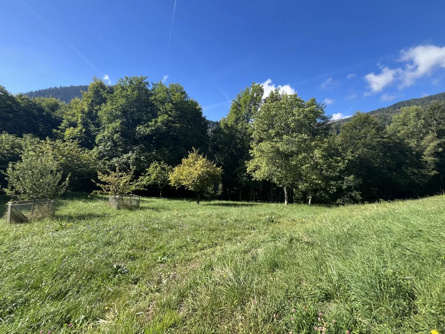 Chalet -4.5 stanze -Les Vérines (Chamoson) - Esclusività - rif. 10247728 - Foto 6 di 13