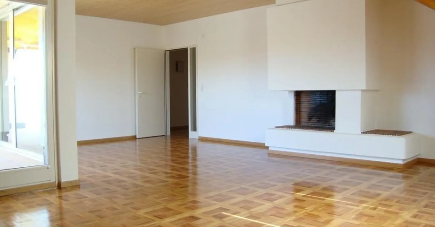 Penthouse apartment in the Eaux-Vives district - Photo 2 of 10