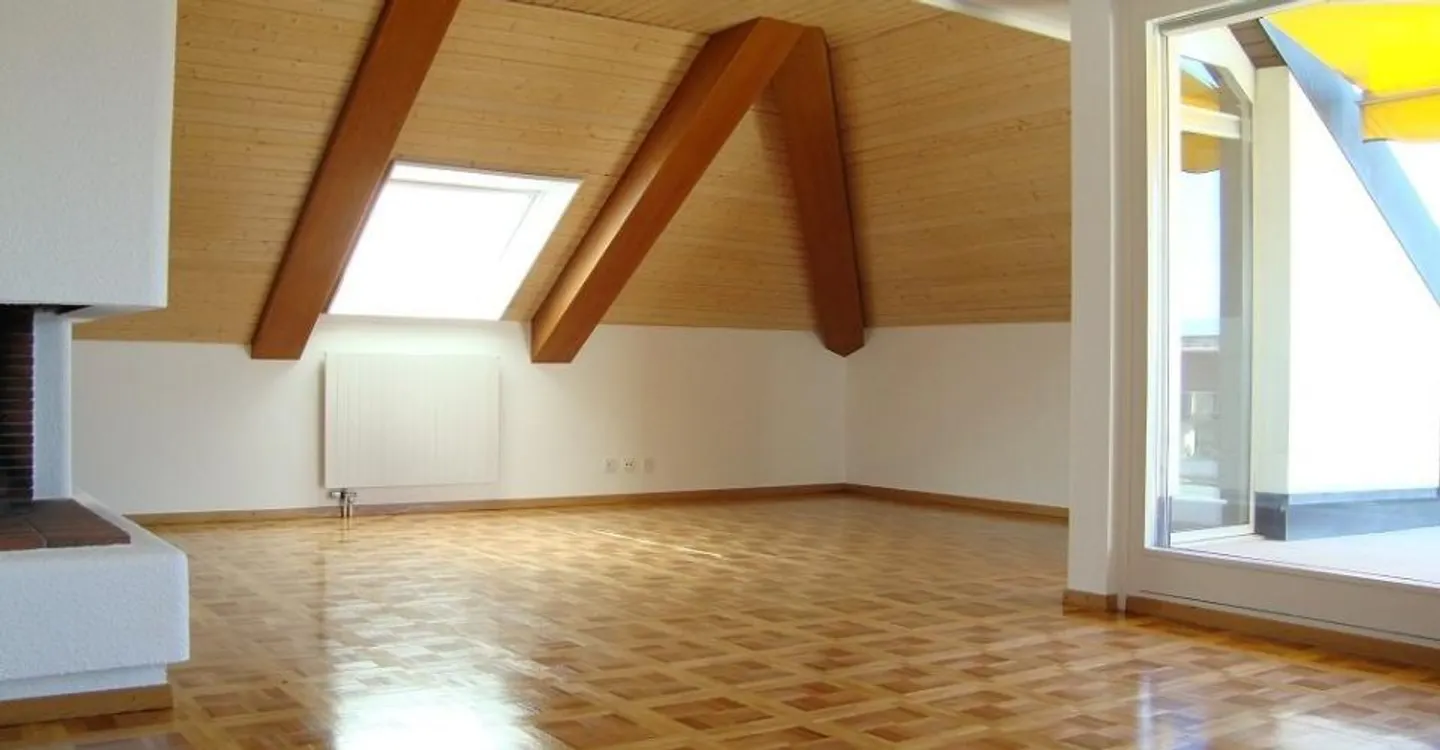 Penthouse apartment in the Eaux-Vives district - Photo 3 of 10