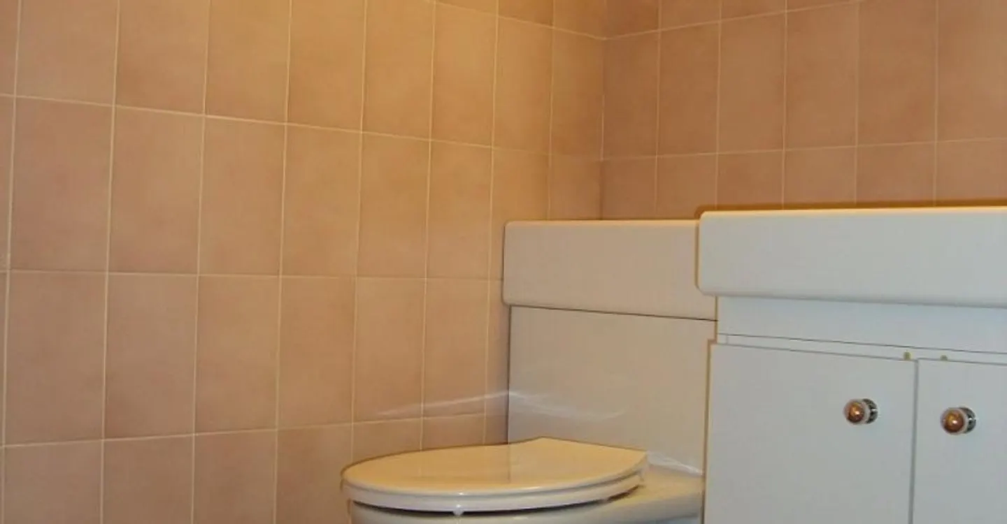 Penthouse apartment in the Eaux-Vives district - Photo 5 of 10