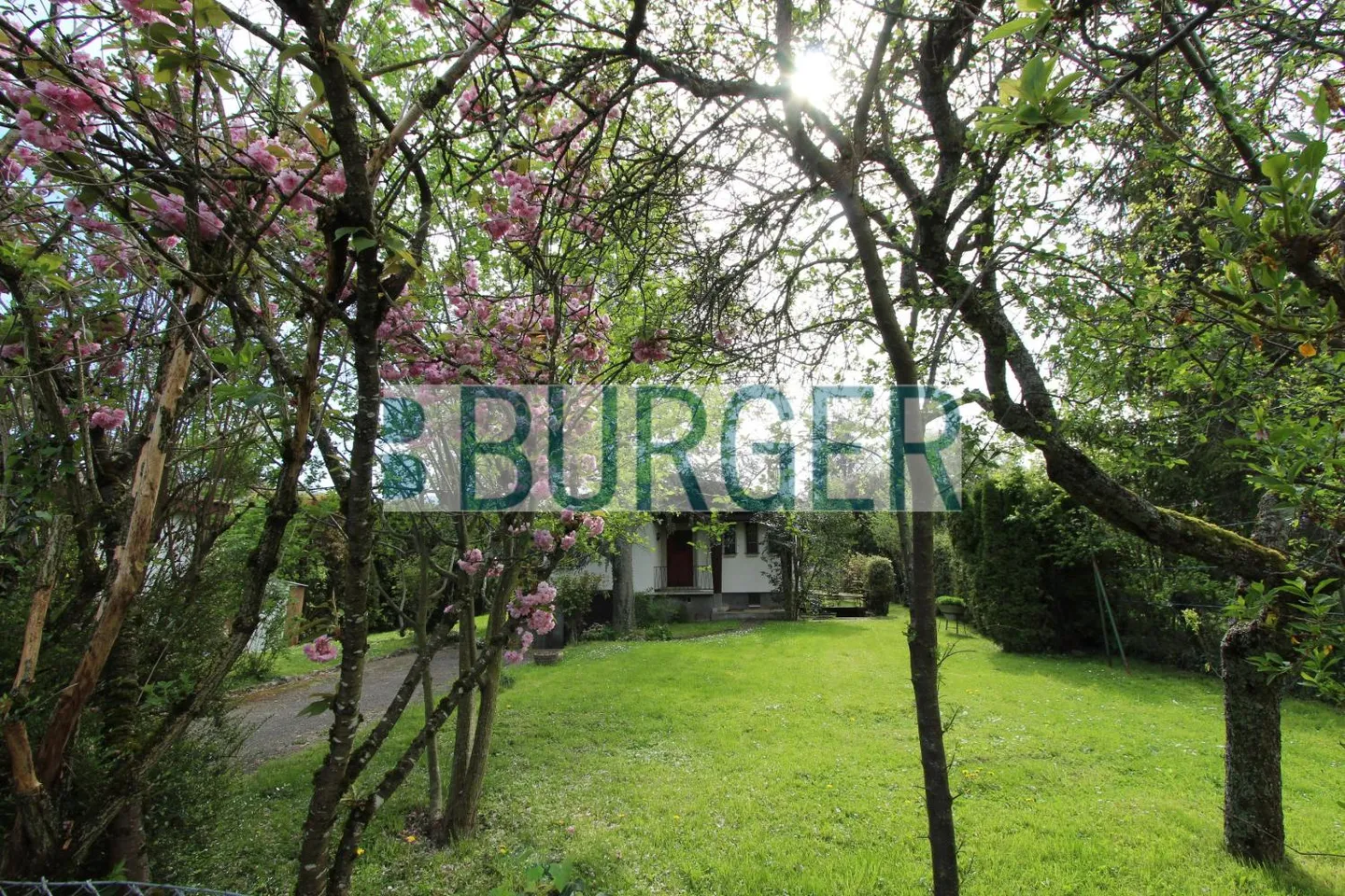 5-Zimmer-Haus - Foto 3 von 8