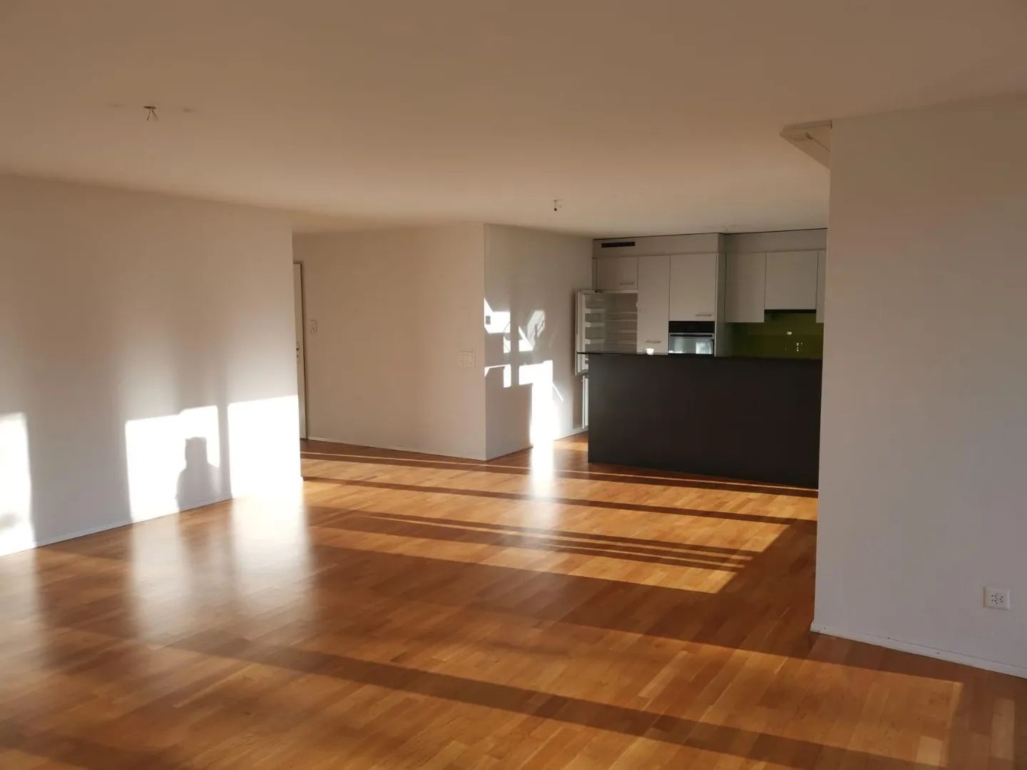 Geräumige Erdgeschosswohnung - Foto 3 von 11
