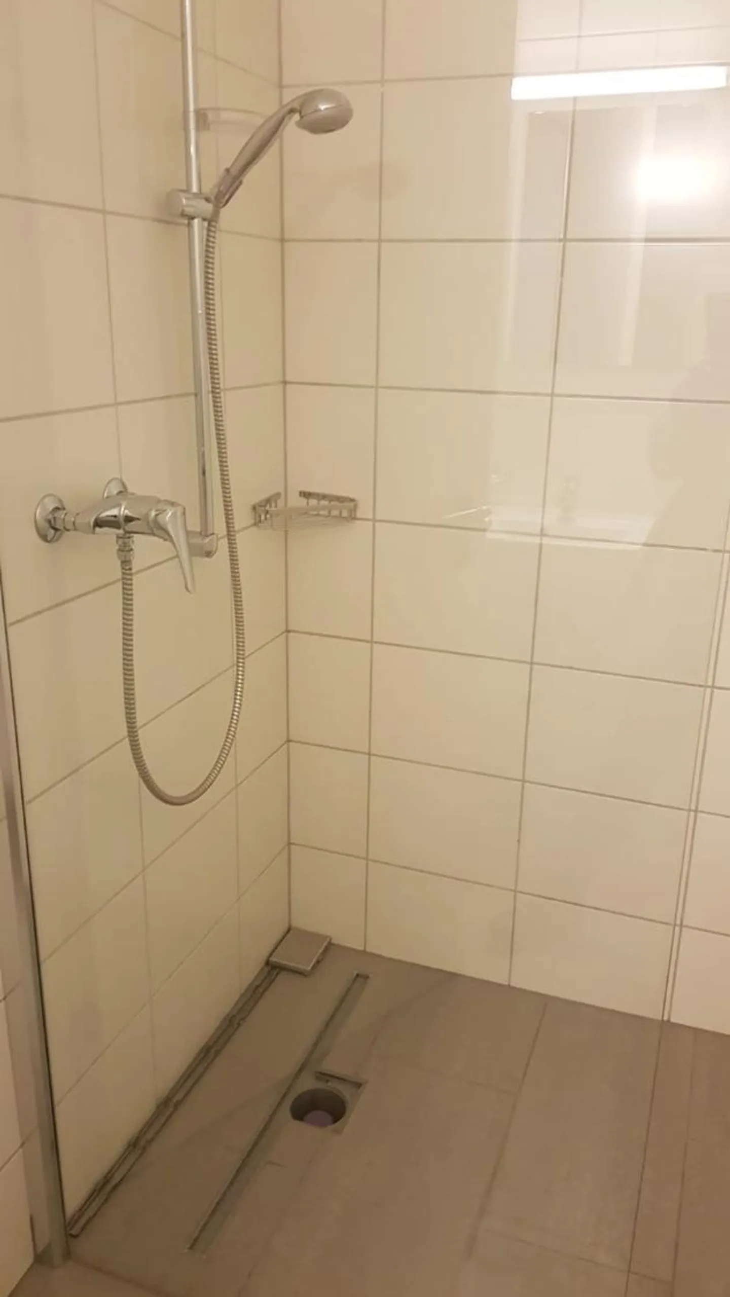 Geräumige Erdgeschosswohnung - Foto 7 von 11