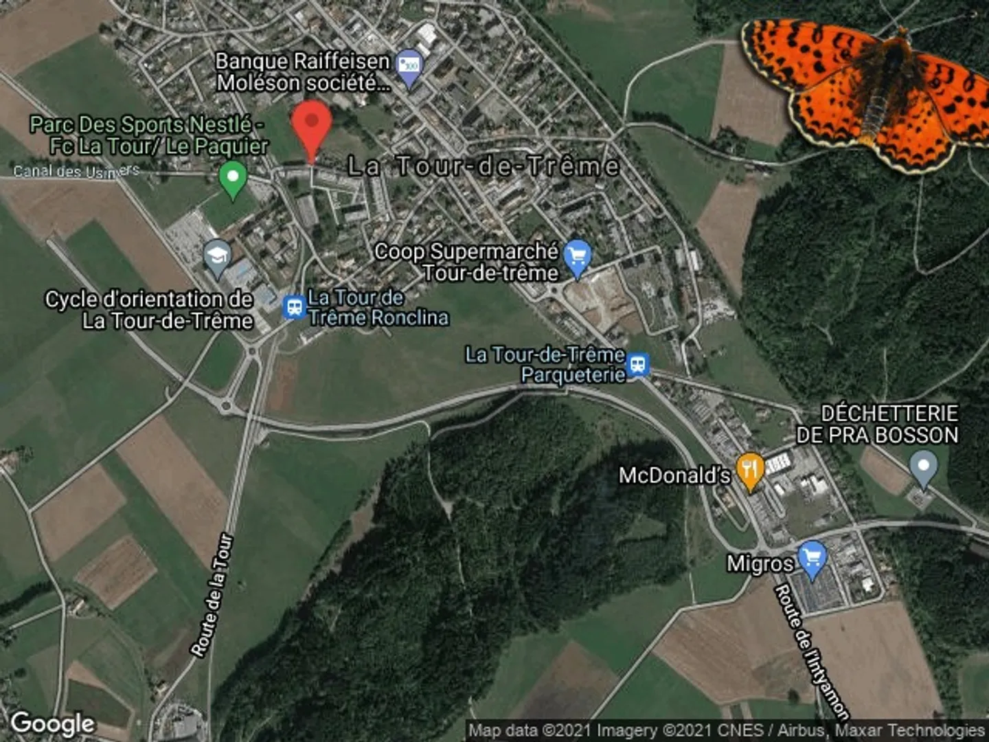 MAGNIFIQUE 2½ PIECES - LA TOUR-DE-TRÊME - Foto 12 von 12