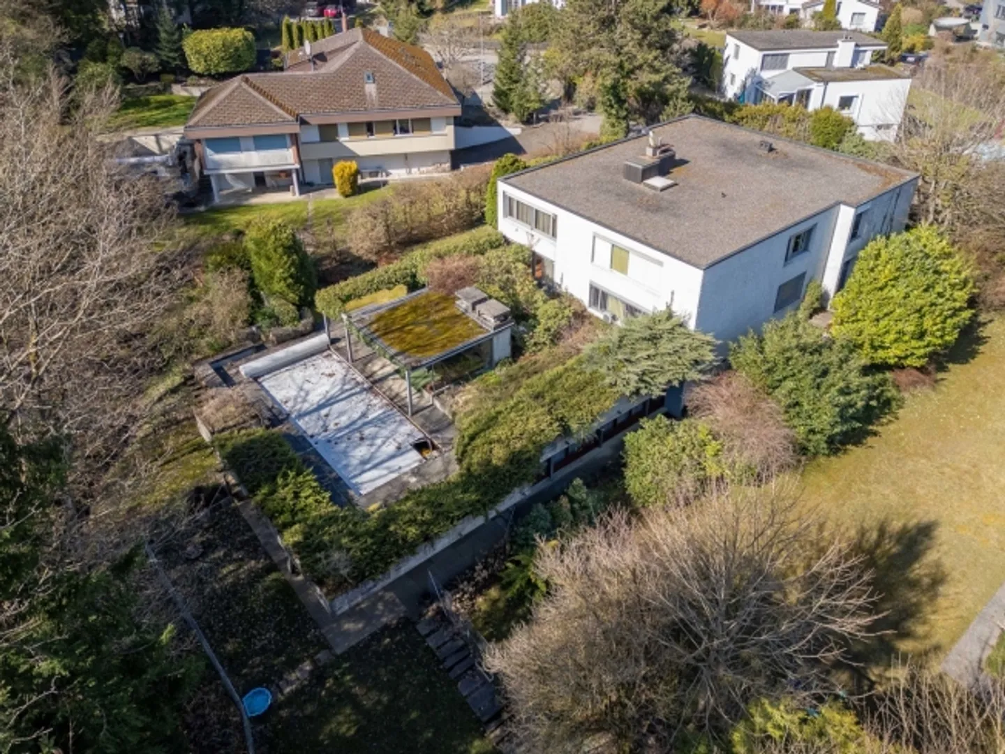 An architect's house on the edge of the forest; Living with style and privacy - Photo 1 of 5