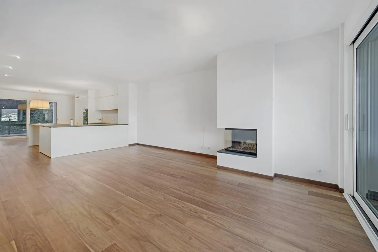 Modern new apartment with lake view and two terraces - Photo 3 of 7
