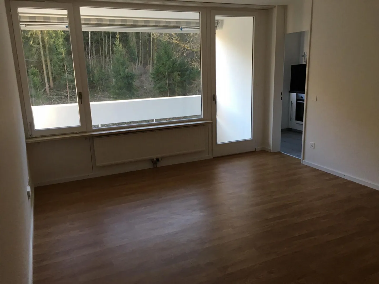 Moderno appartamento di 2,5 stanze con balcone e vista, ottime connessioni - Foto 4 di 6