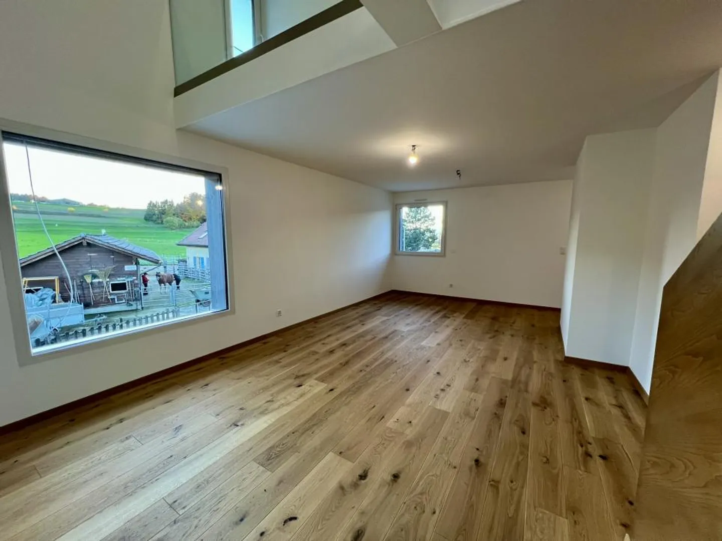 Stunning new duplex with 4.5 rooms - Photo 3 of 13