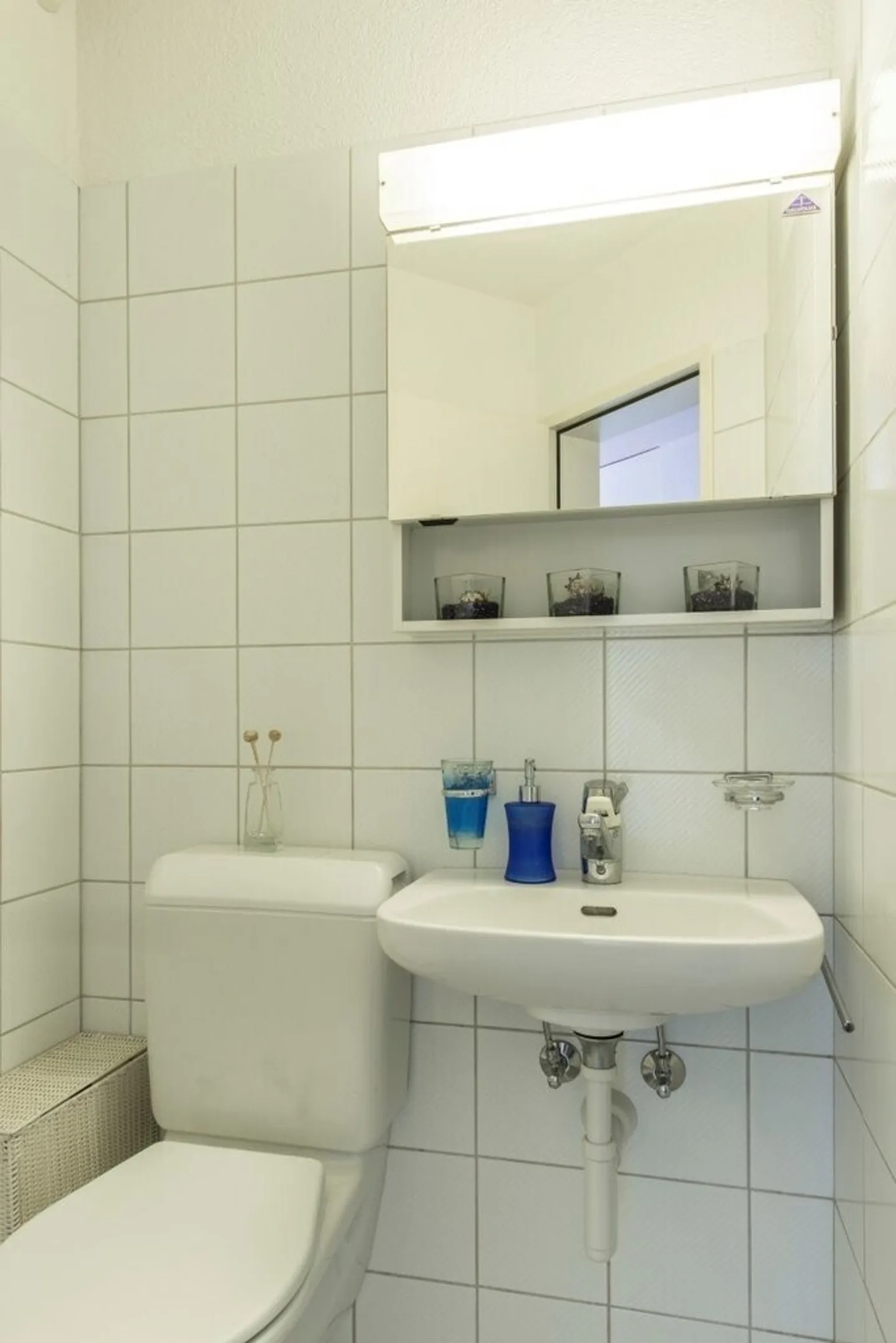 Vivere direttamente sulla Reuss! - Foto 6 di 7