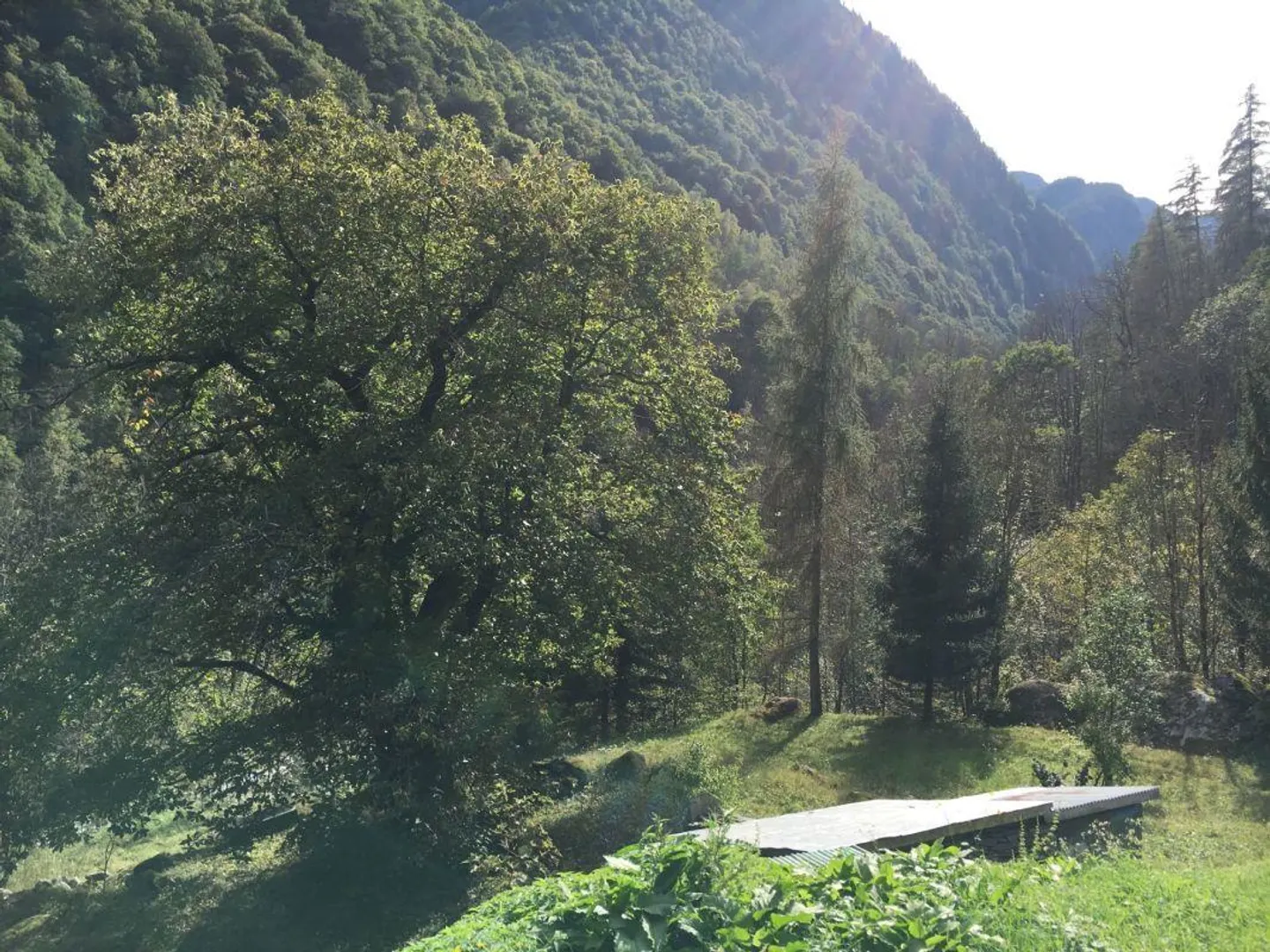 Rustico con terreno - Foto 14 di 19