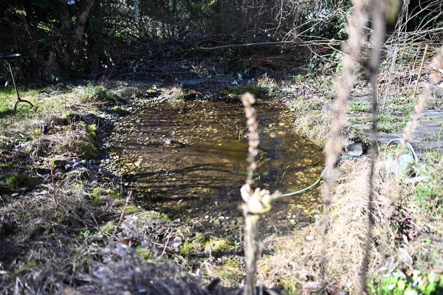 Appartamento con giardino a Bischofszell - Foto 8 di 11