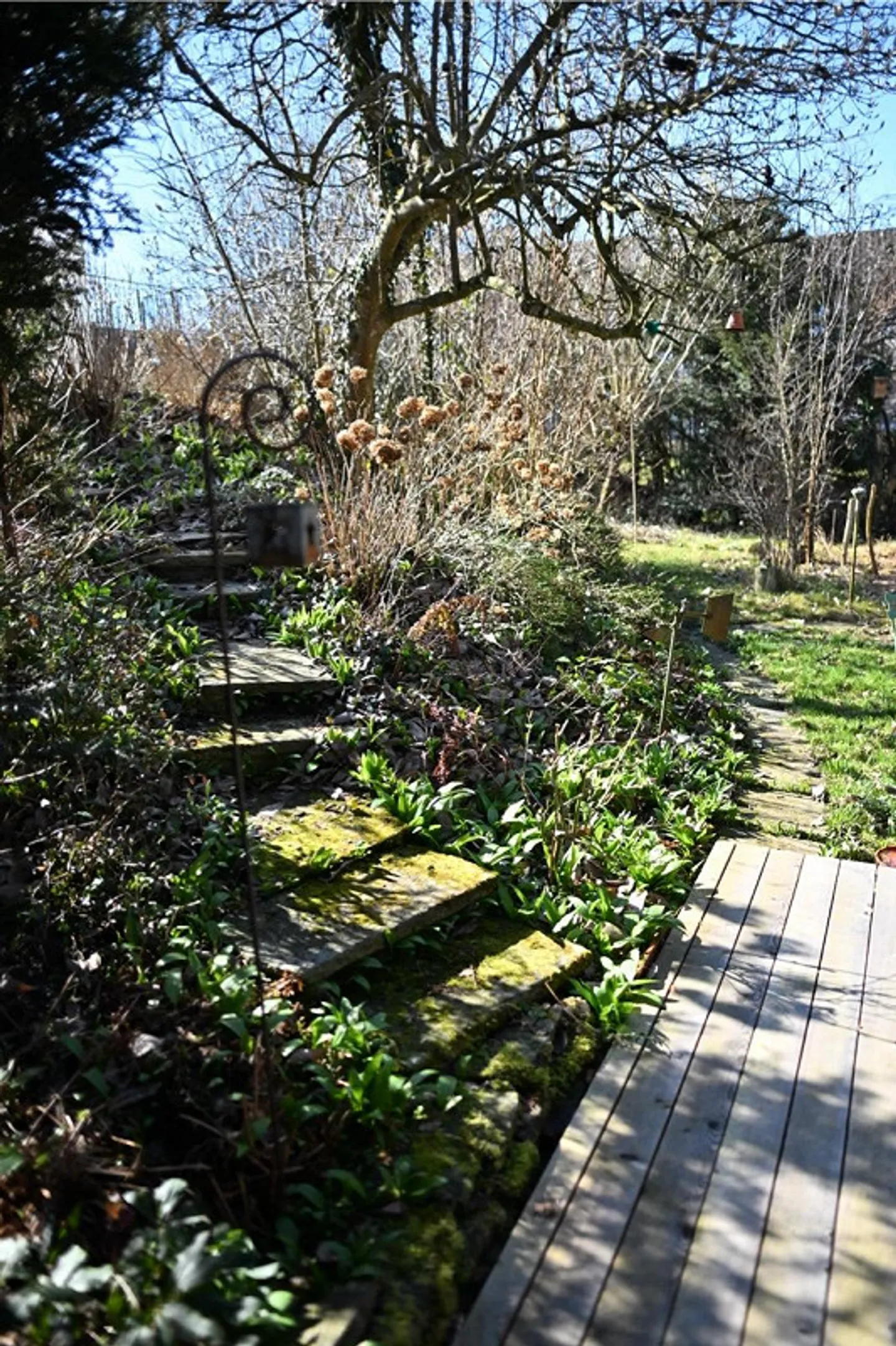 Appartamento con giardino a Bischofszell - Foto 9 di 11