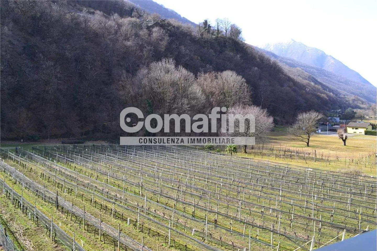 2,5-Zimmer-Wohnung in Cadenazzo mit Balkon - Foto 3 von 4