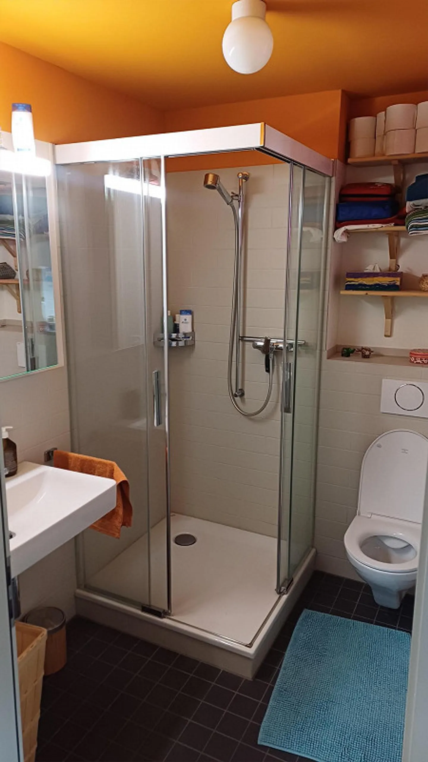 Dachwohnung im Tribschen - Foto 10 von 11