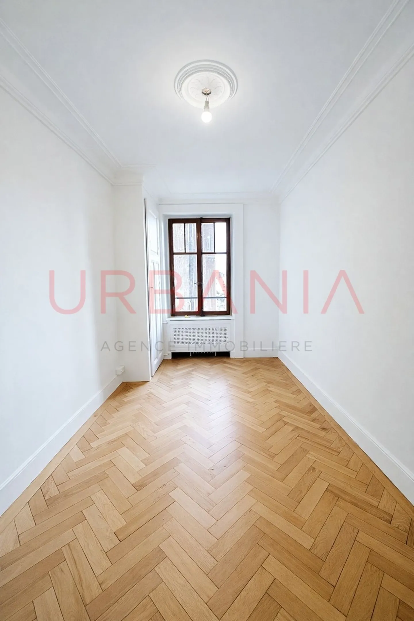 Appartamento di 3 stanze di alta gamma - nel cuore di Malagnou - Foto 4 di 6