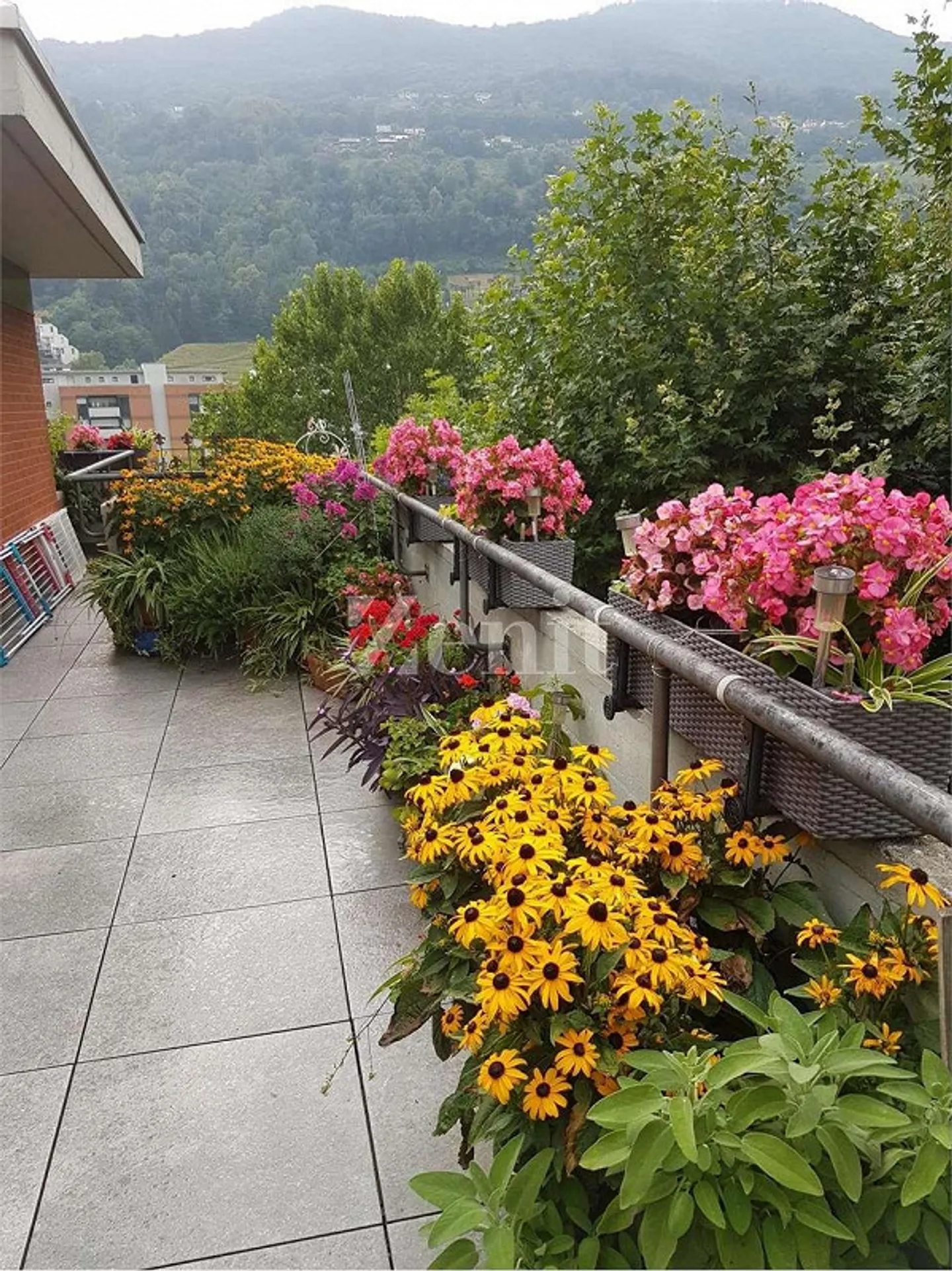 Attico elegante con giardino d'inverno e terrazza - Foto 8 di 8