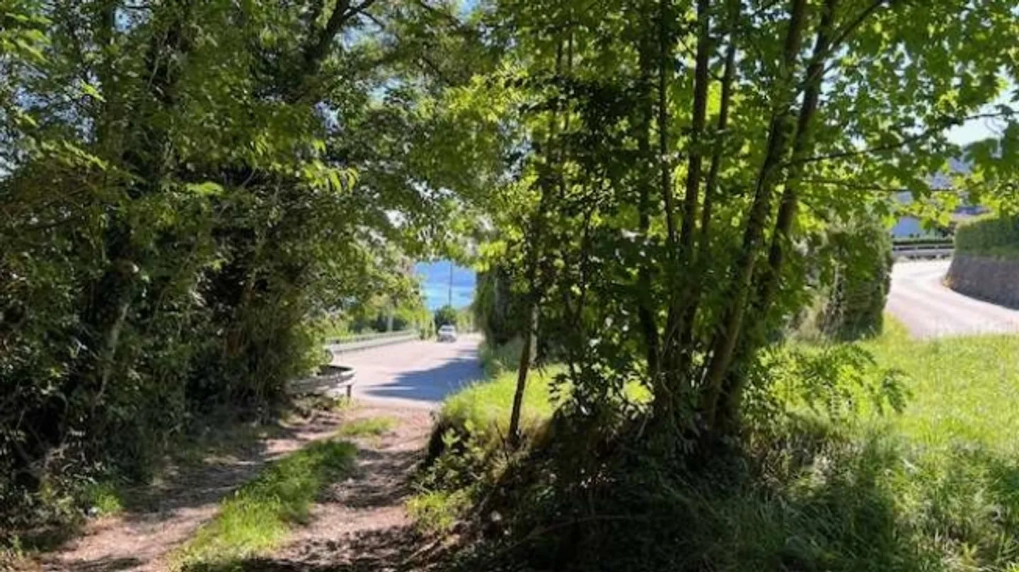 Bosco Luganese Building Plot with Lake View - Photo 3 of 8