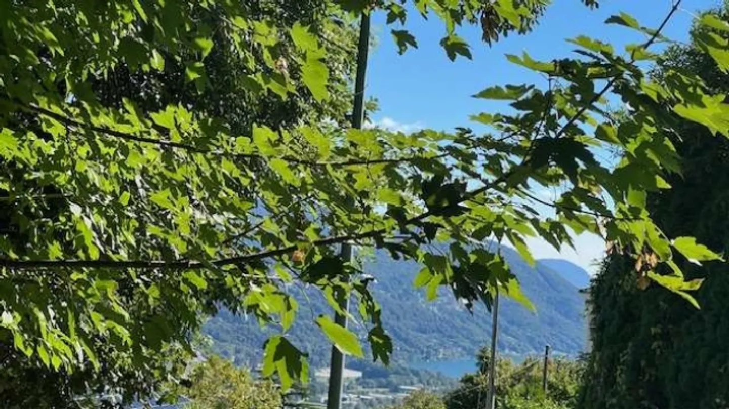 Bosco Luganese Building Plot with Lake View - Photo 6 of 8