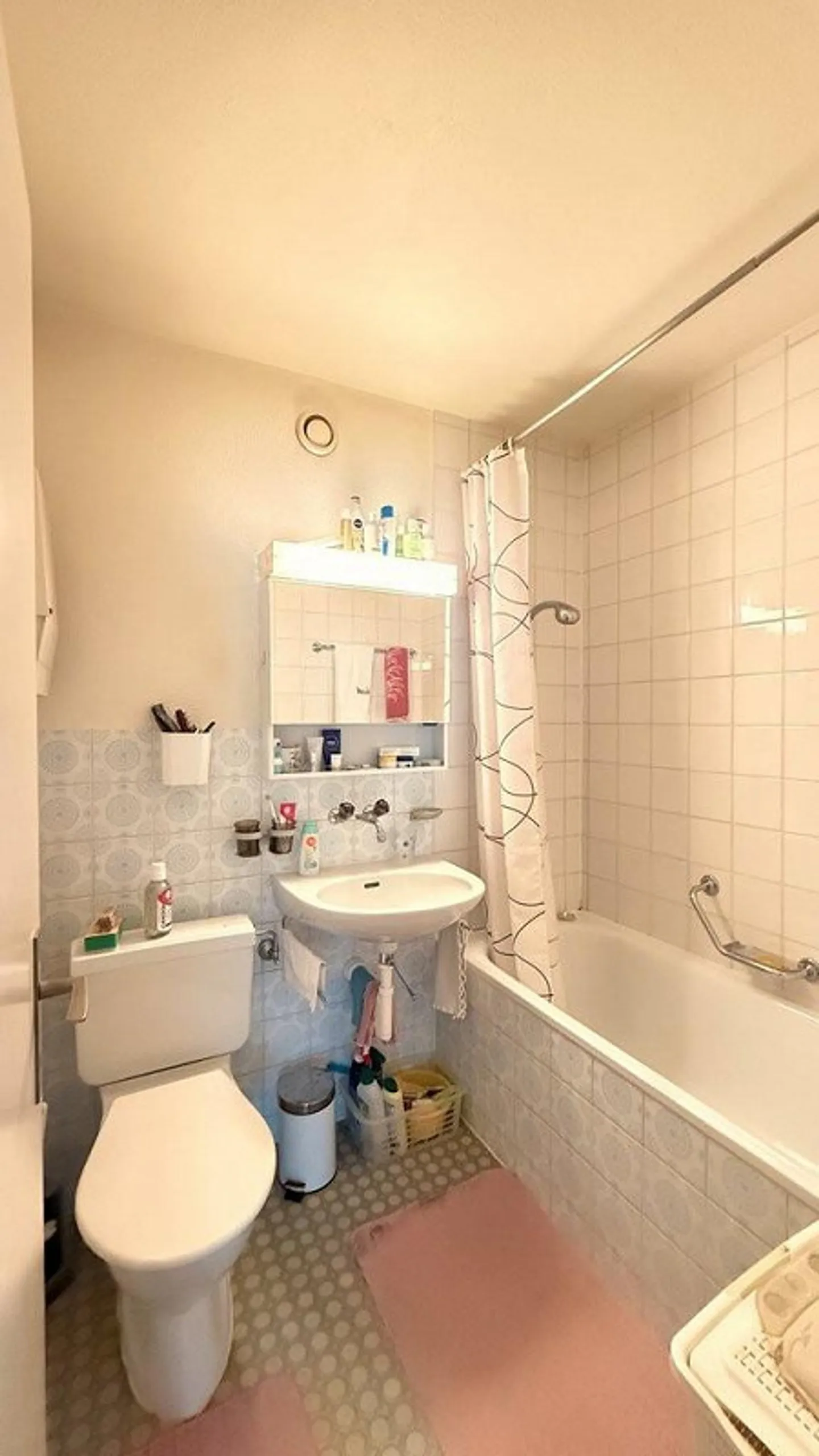 Appartamento 4.5 stanze - Foto 11 di 12