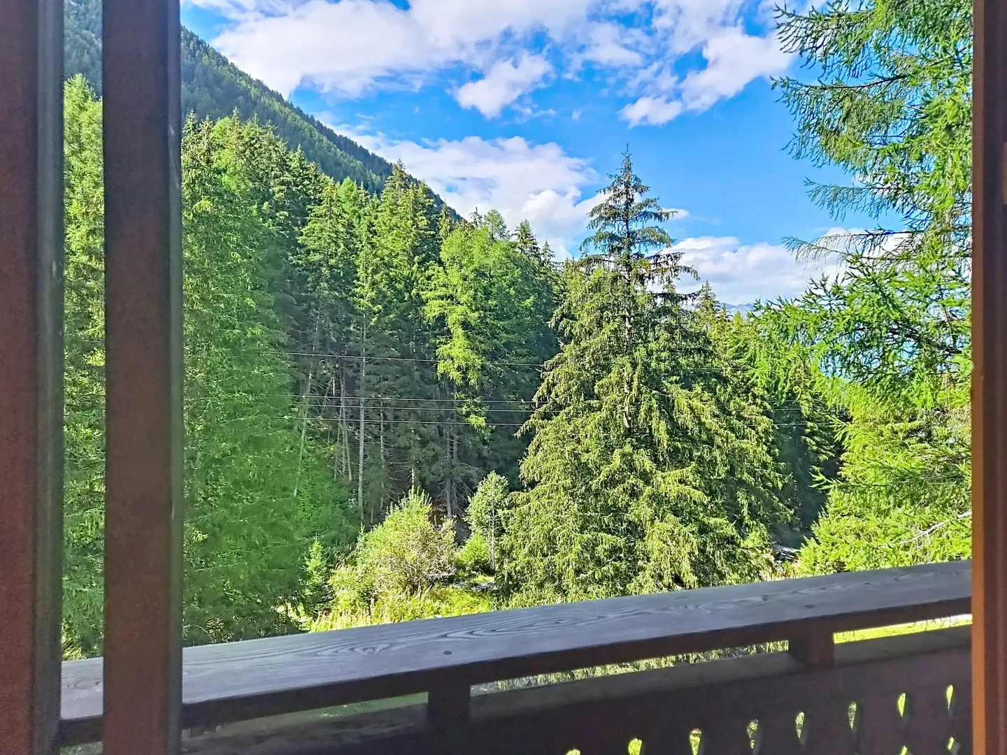 3 bedrooms apartment in Planchouet (Nendaz) in the heart of the forest! - Photo 9 sur 10