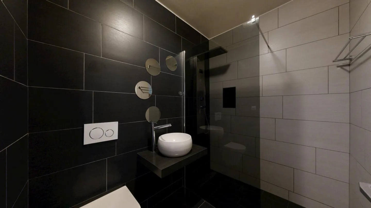 Magnificent Villa in the Heart of Freiburg - Photo 16 of 17