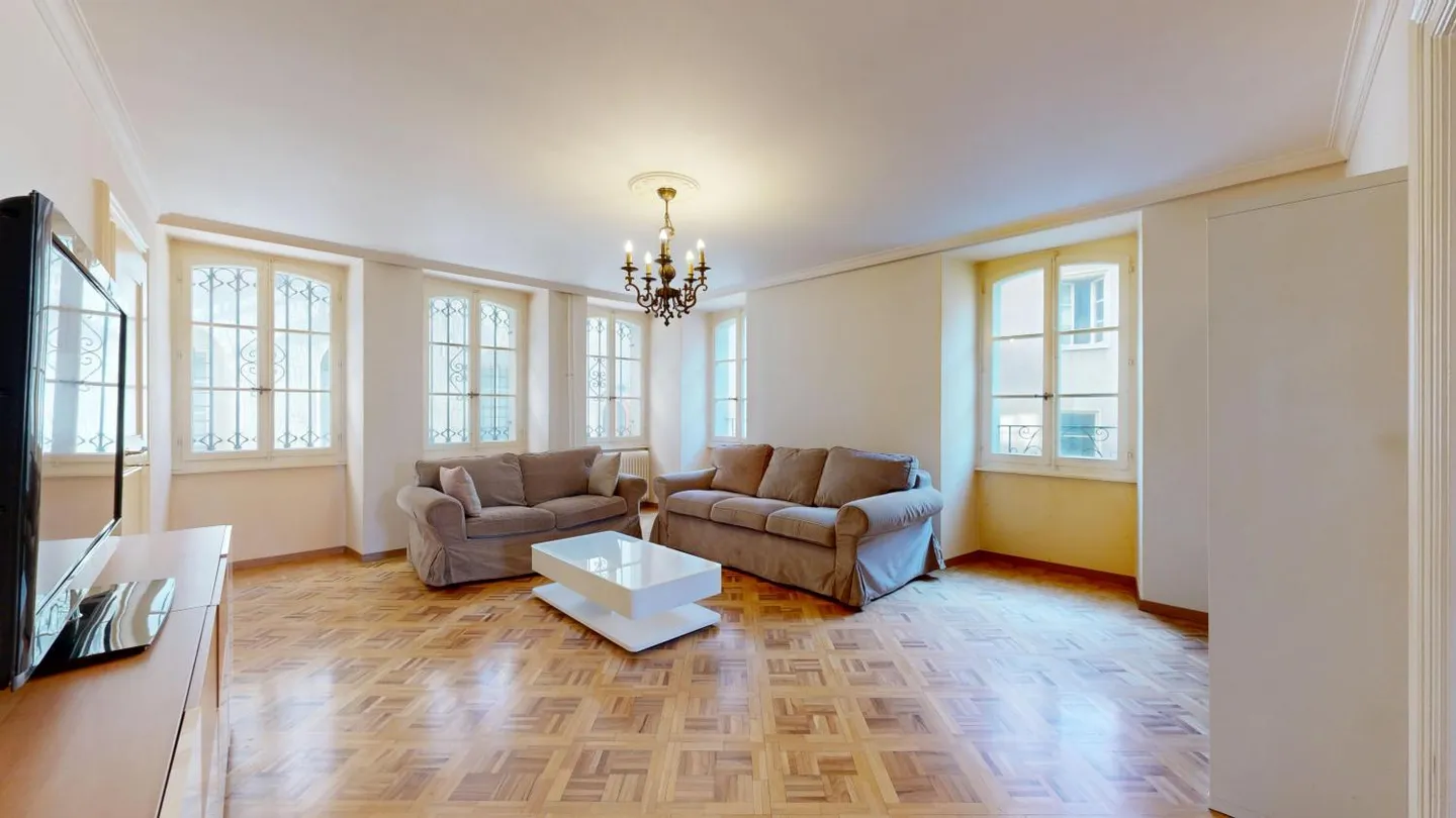 Magnificent Villa in the Heart of Freiburg - Photo 7 of 17