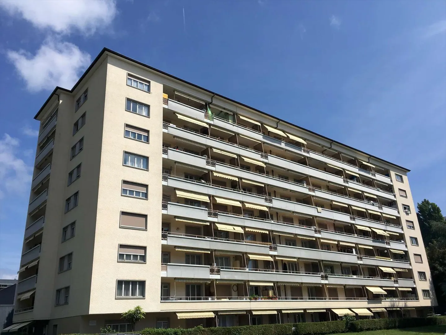 Spacious and bright accommodation, very well located in a family neighborhood. - Photo 1 of 7