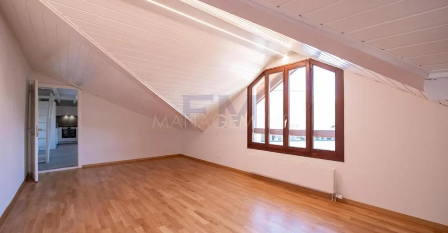 Appartamento ristrutturato a Chêne-Bourg - Foto 2 di 2