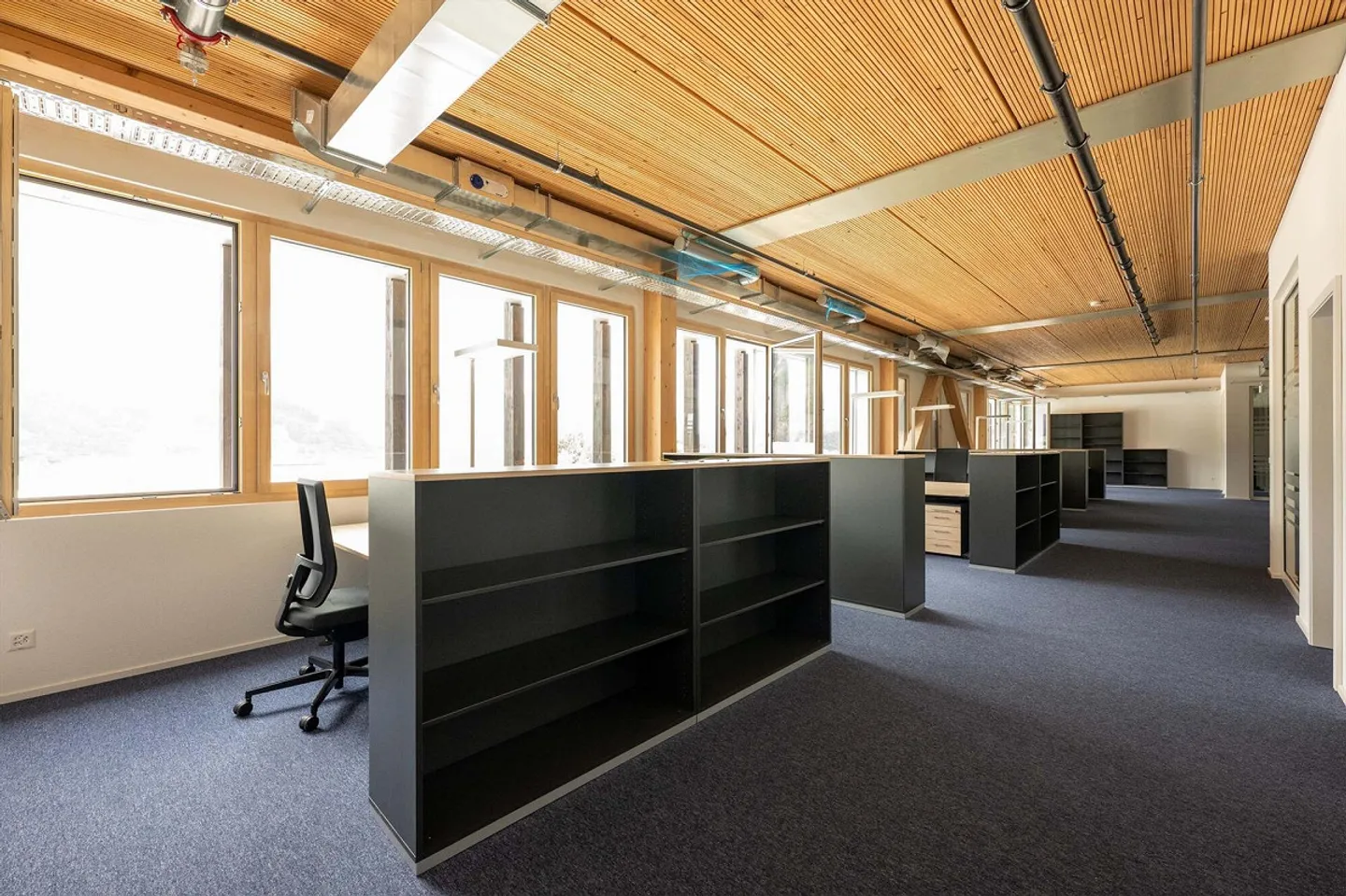 Exclusive office space in GZU Seewen SZ – Customization as desired - Photo 5 of 6