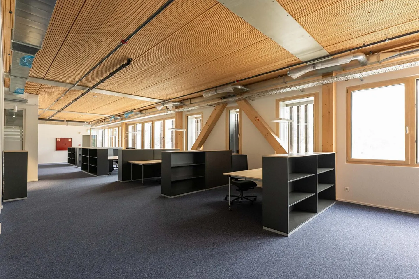 Exclusive office space in GZU Seewen SZ – Customization as desired - Photo 6 of 6