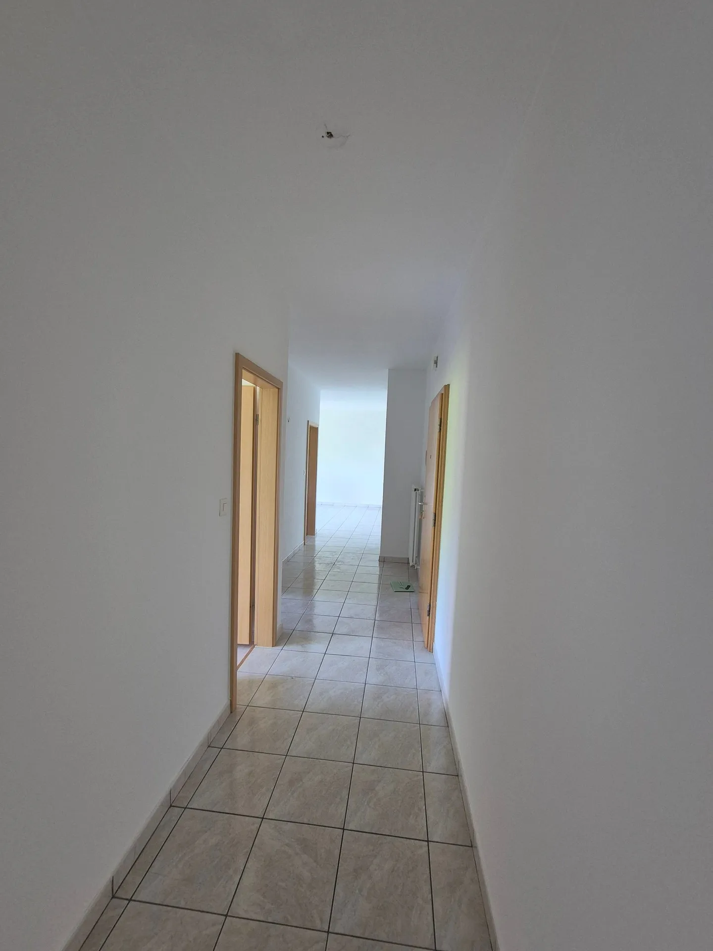 3.5 Room Apartment - Surrounded by Green - Photo 4 of 14