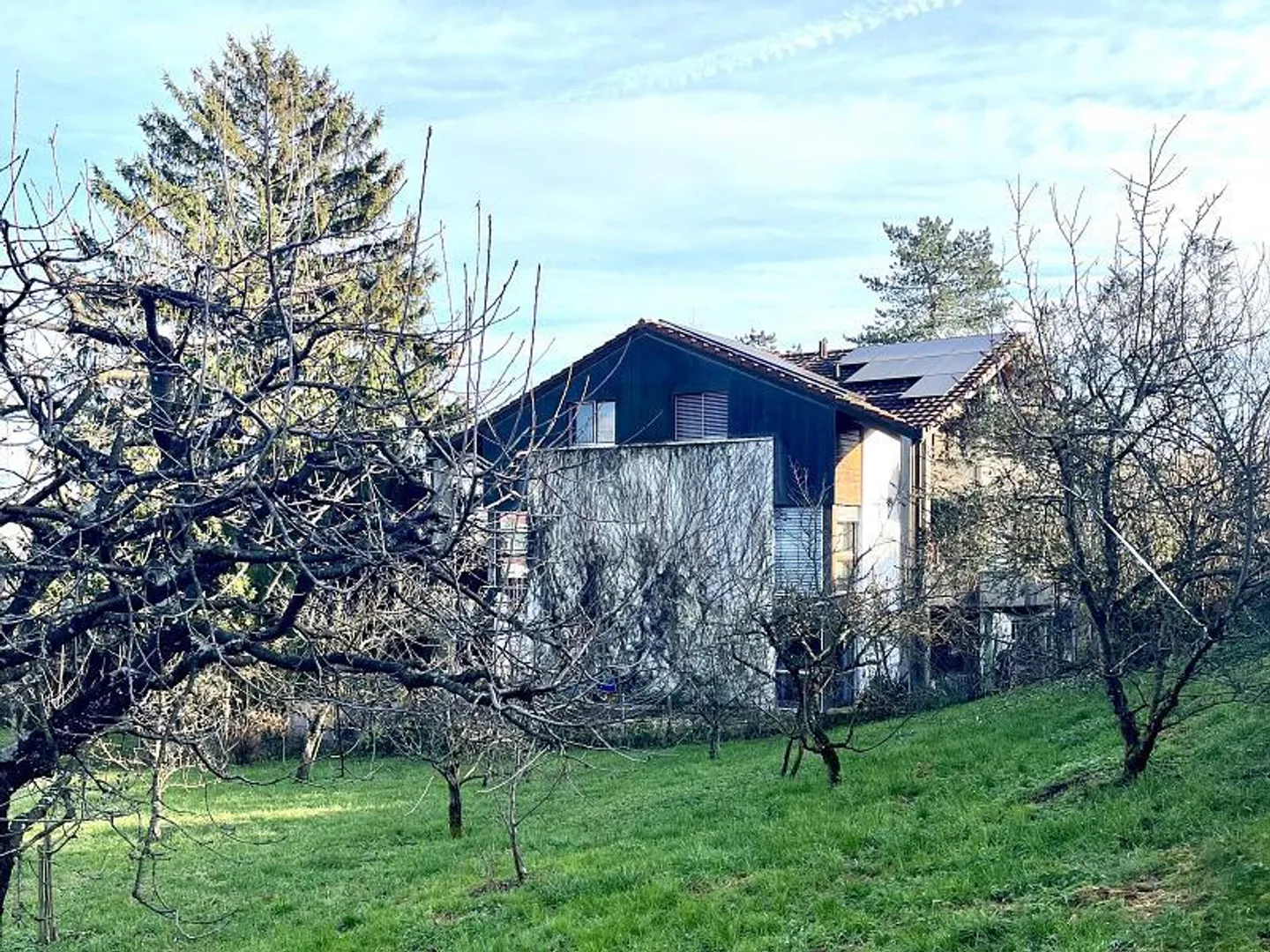 BAIGNÉ DE LUMIÈRE AVEC POTENTIEL - Photo 3 sur 4