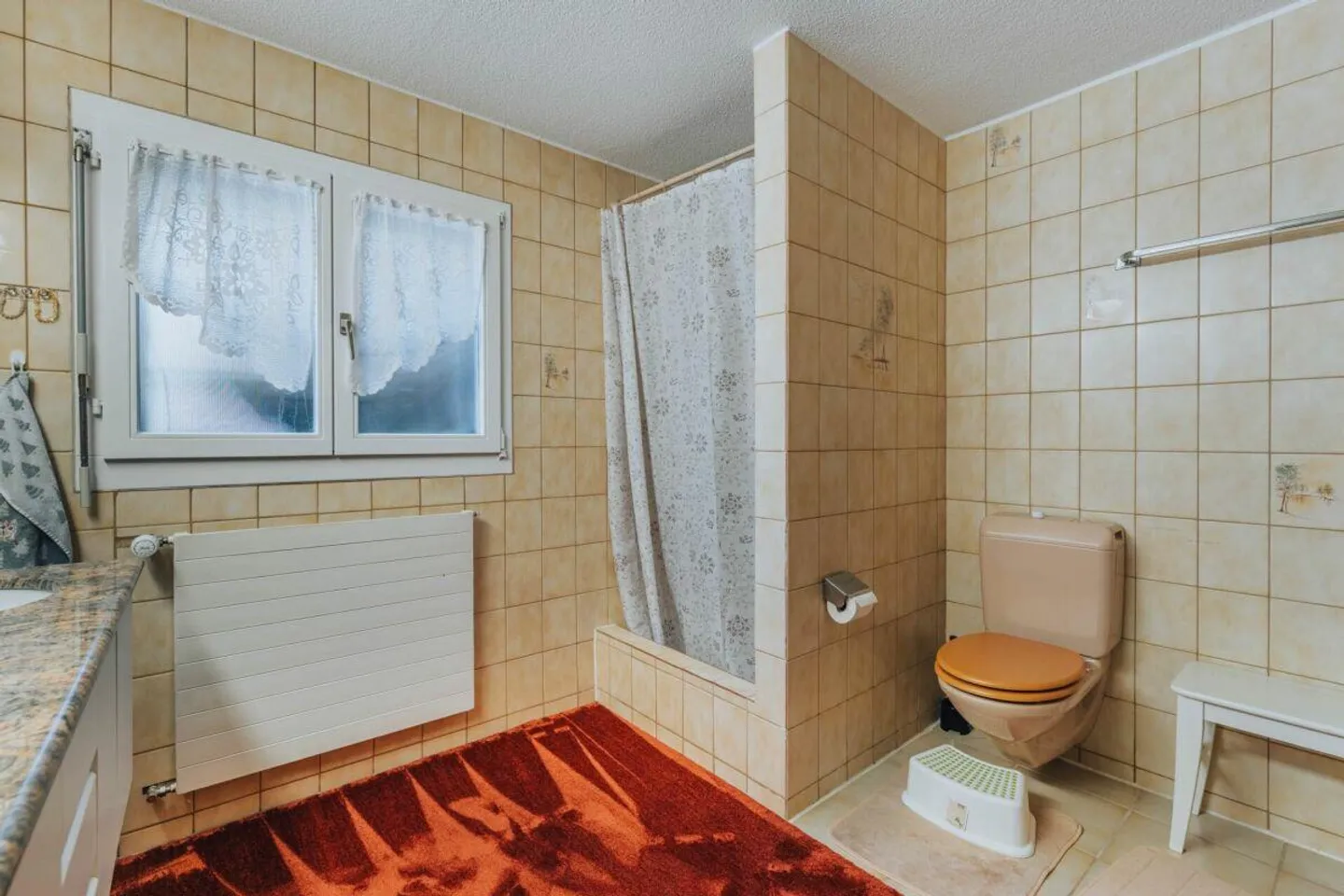 3-Party MFH with many ancillary rooms + garages - Photo 6 of 12