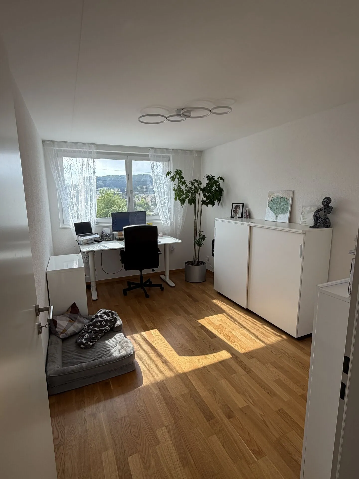 Ici vit le Wow - Penthouse de 4,5 pièces à Hausen - Vivre au-dessus des toits avec style - Photo 8 sur 16