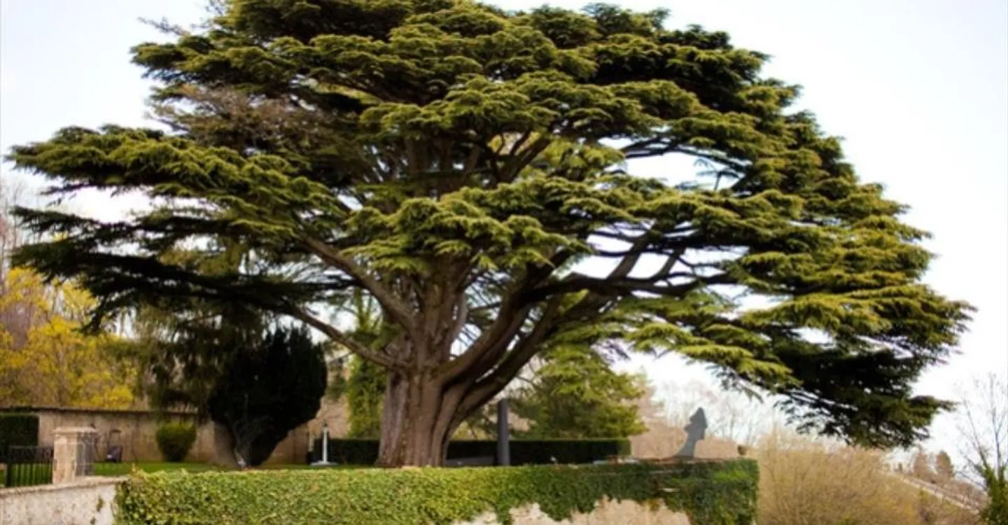 Office space for rent - Photo 5 of 7