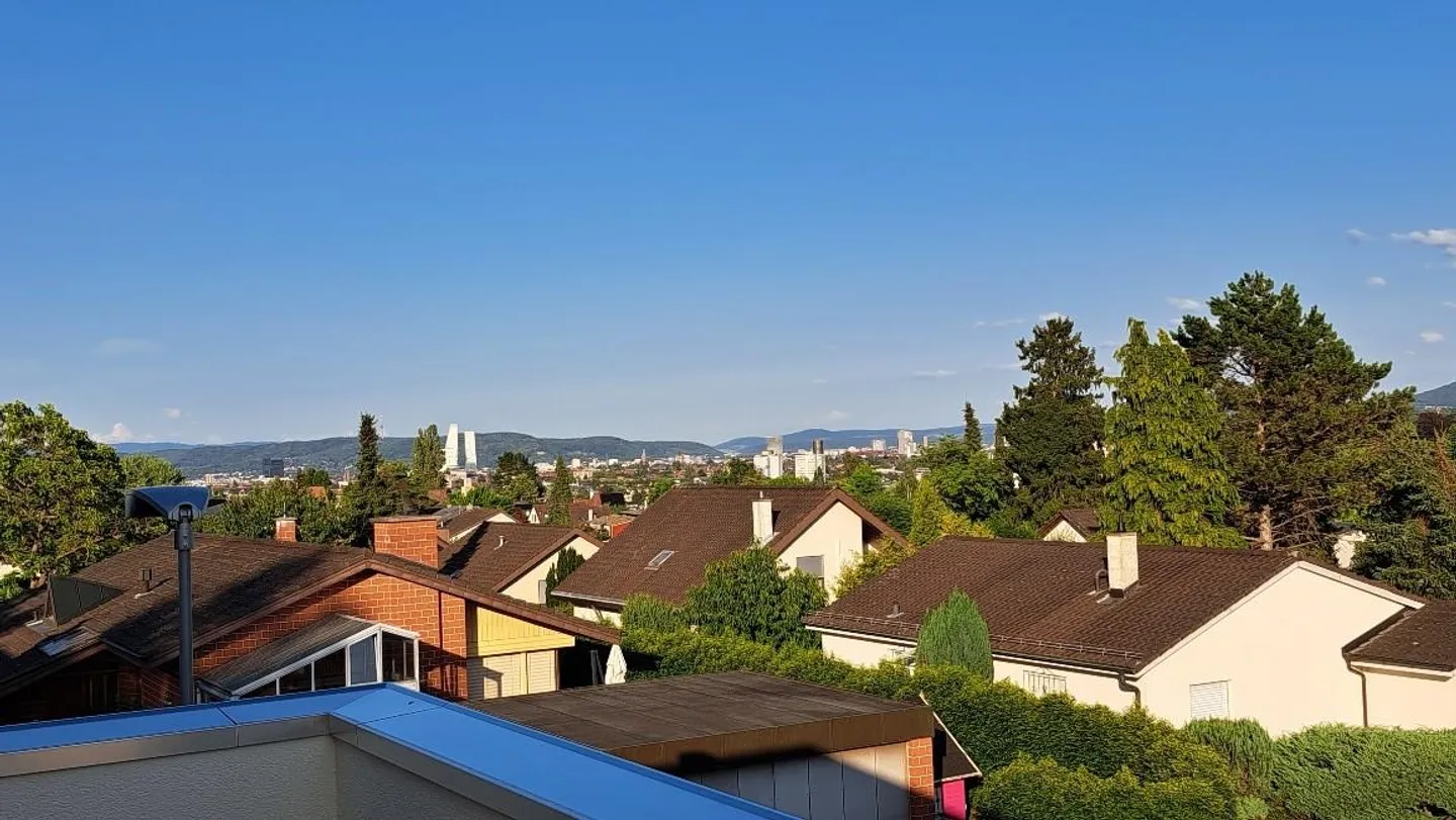 Maisonette - Appartamento Attico in Posizione Ideale sul Rosenberg ad Allschwil - Foto 8 di 10
