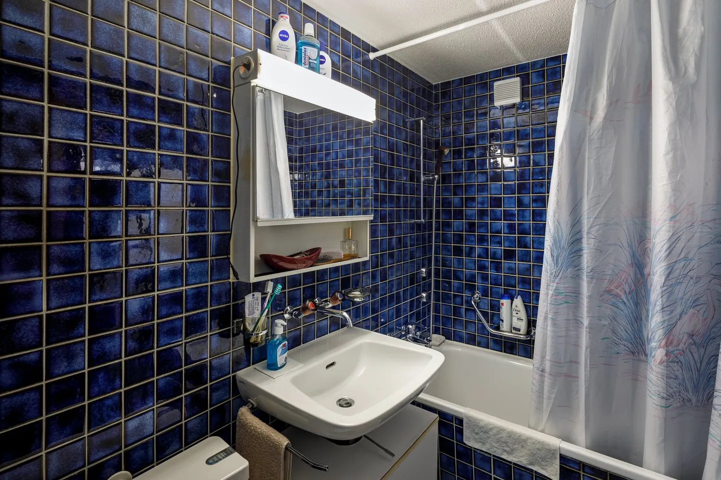 Investment opportunity in Winterthur (attached multi-family house) - Photo 7 of 13